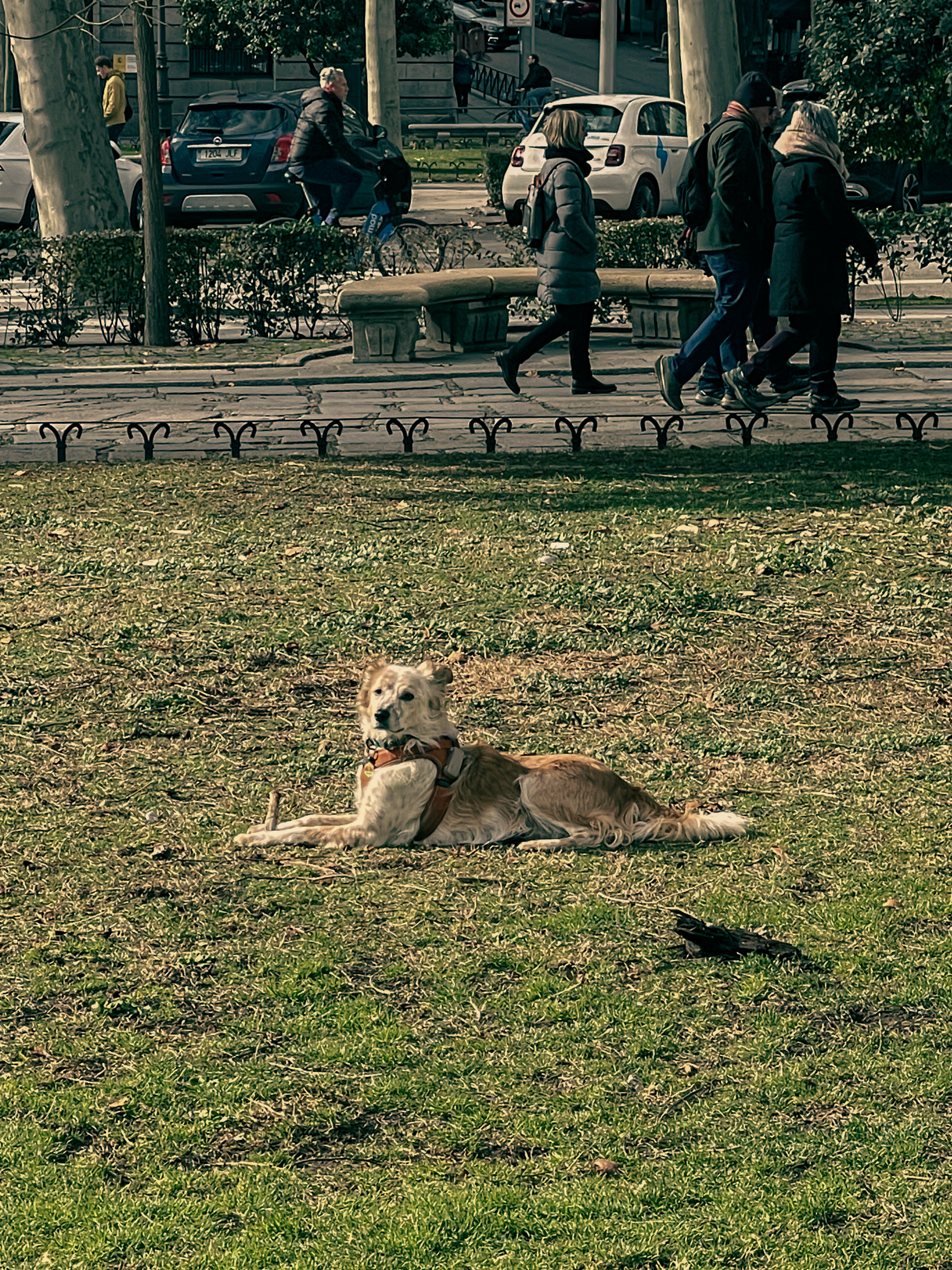 세 개 브랜드의 디지털 실적과 마케팅을 관리하고 있습니다.